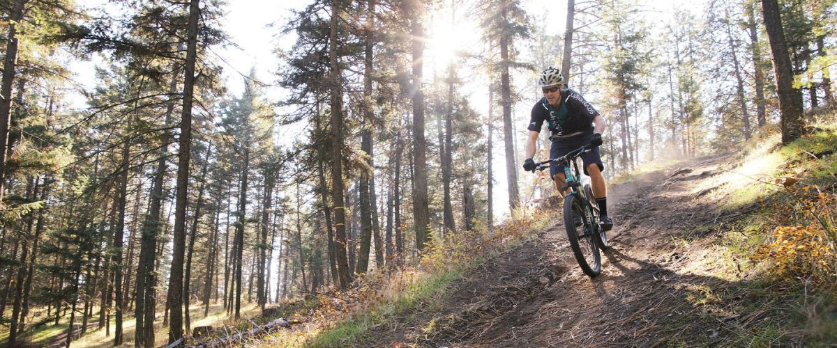 Smith Creek Trails