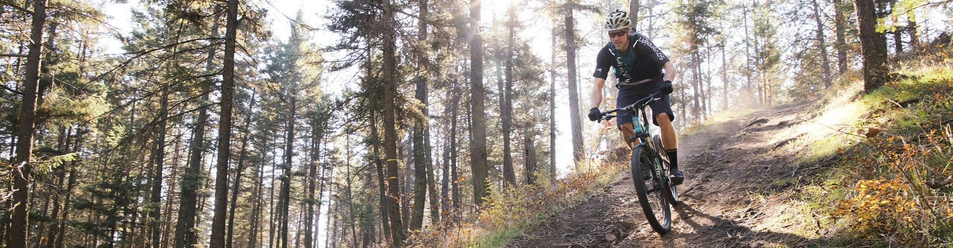 Smith Creek Trails