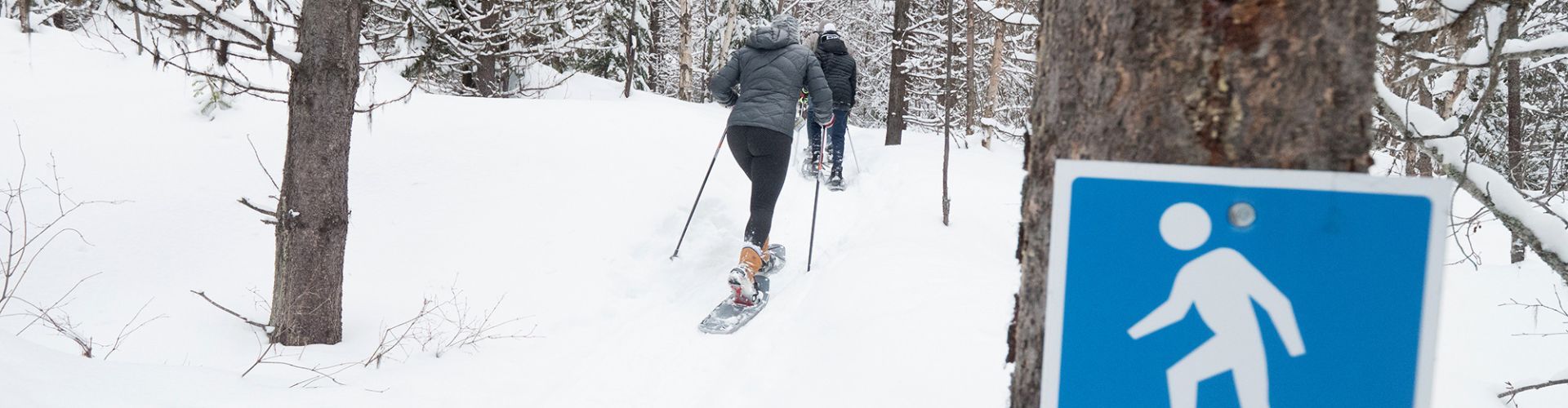 Telemark Nordic Club