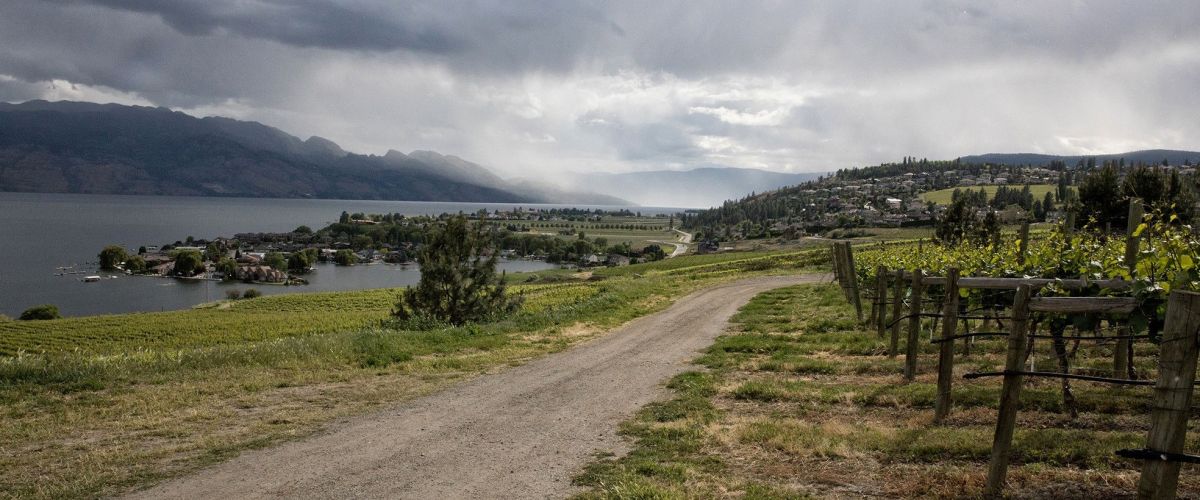 wine o'clock westside wine trail