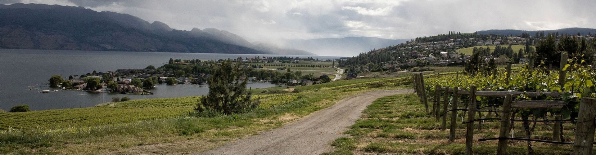 wine o'clock westside wine trail