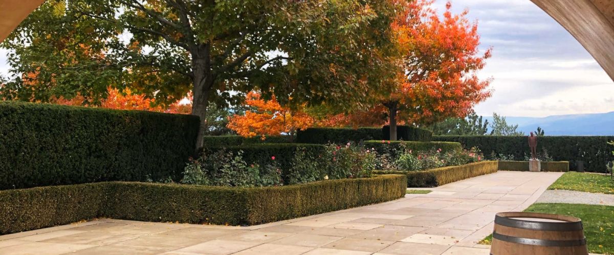 Fall Weekend in Photos