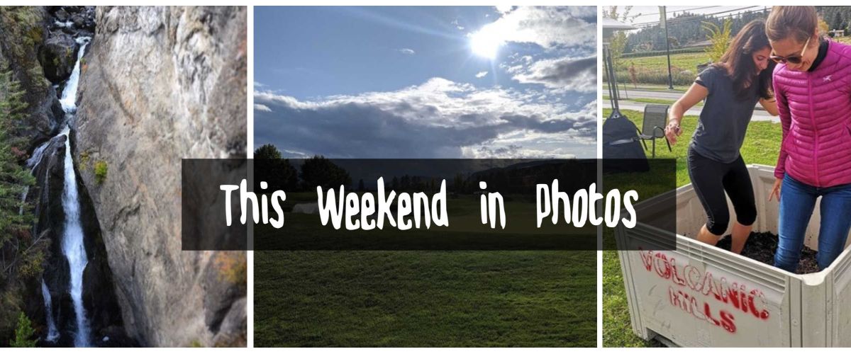 Weekend in Photos