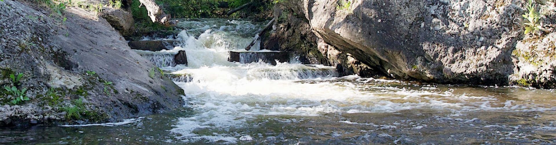 Relaxing Nature Sounds