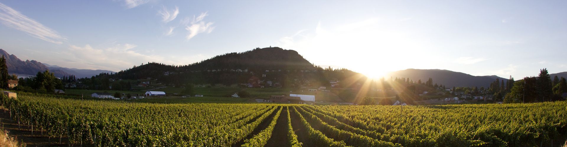 West Kelowna Wineries