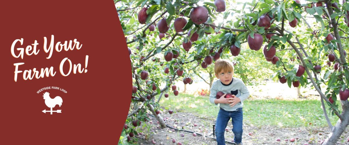 Westside Farm Loop West Kelowna