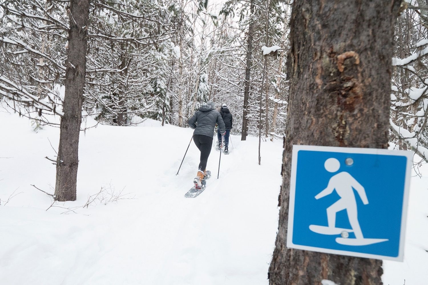 Let S Winter Top Picks For Winter In West Kelowna