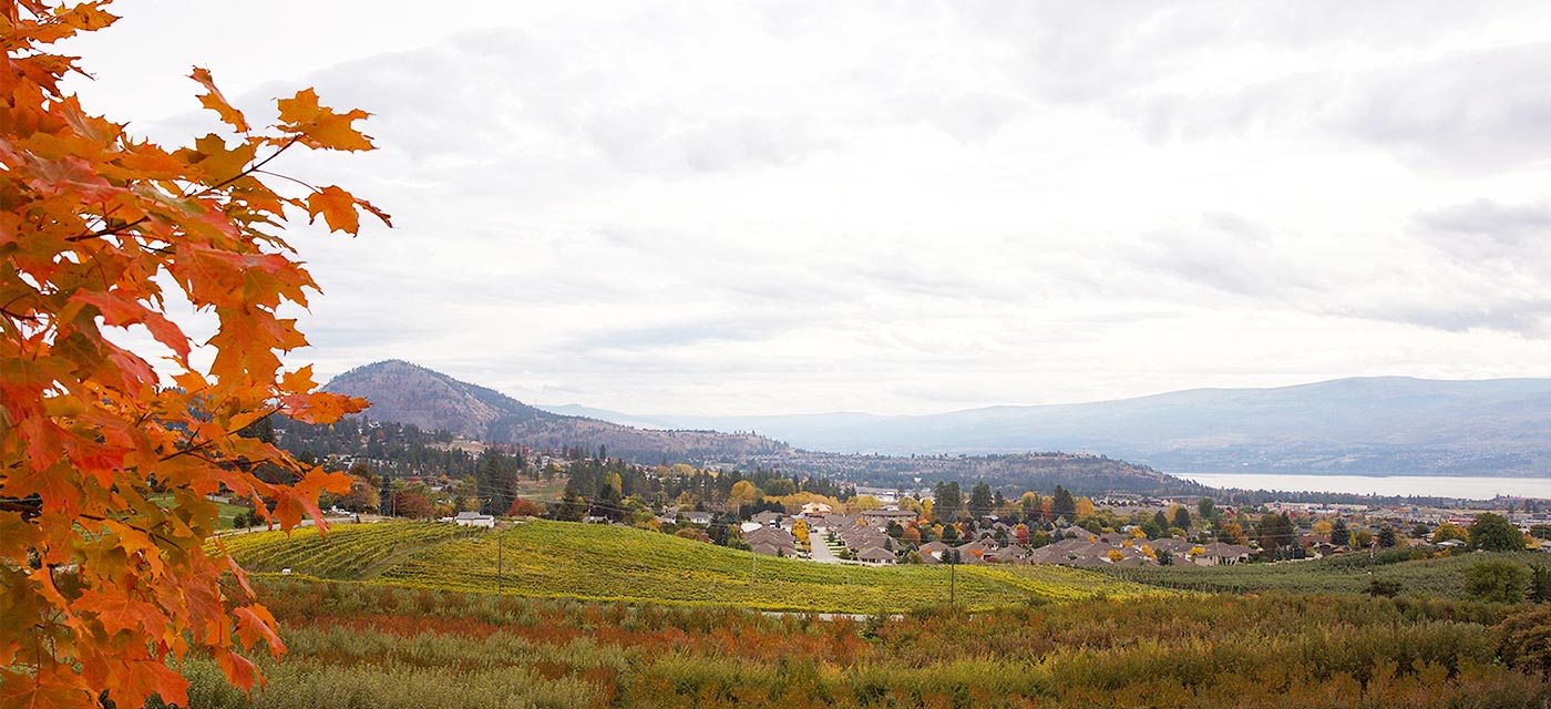 Best Places for Fall Foliage in West Kelowna West Kelowna