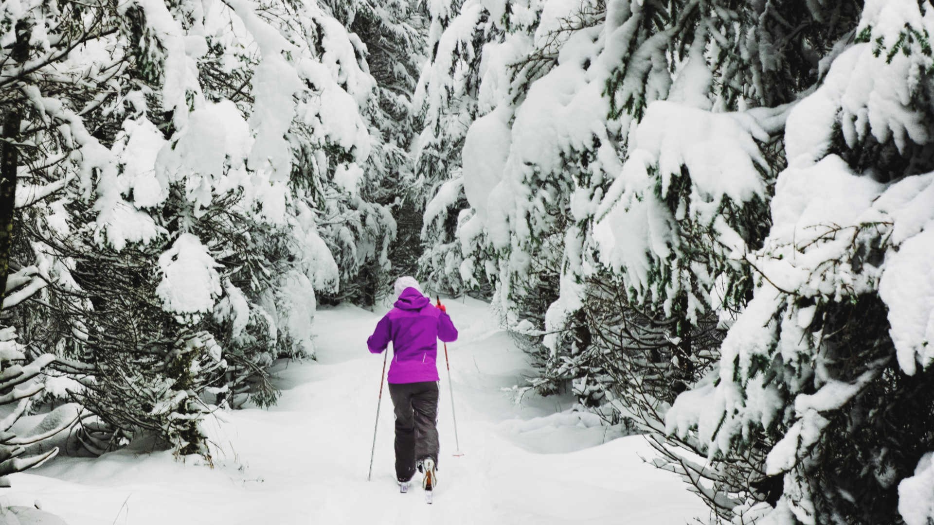 Snow Adventures - Cross Country Skiing | West Kelowna