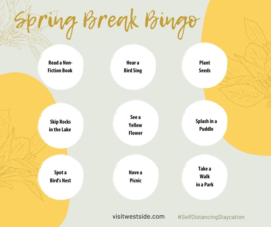 spring break bingo