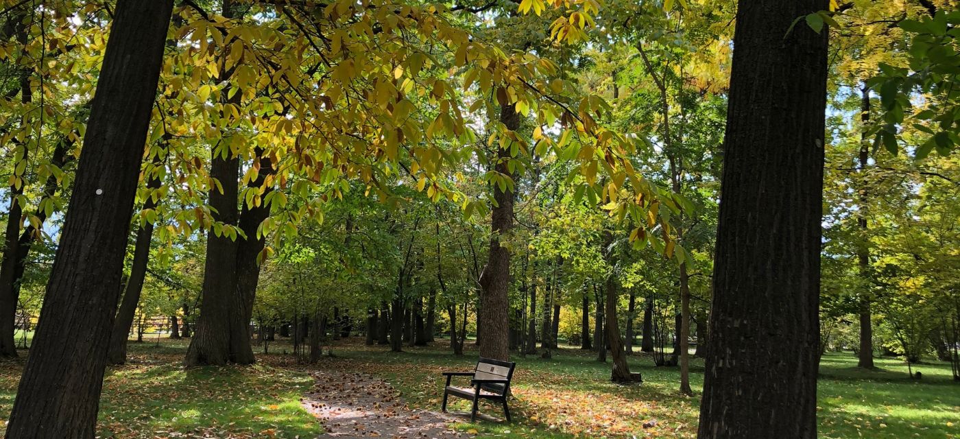 Fall Gellatly Nut Farm