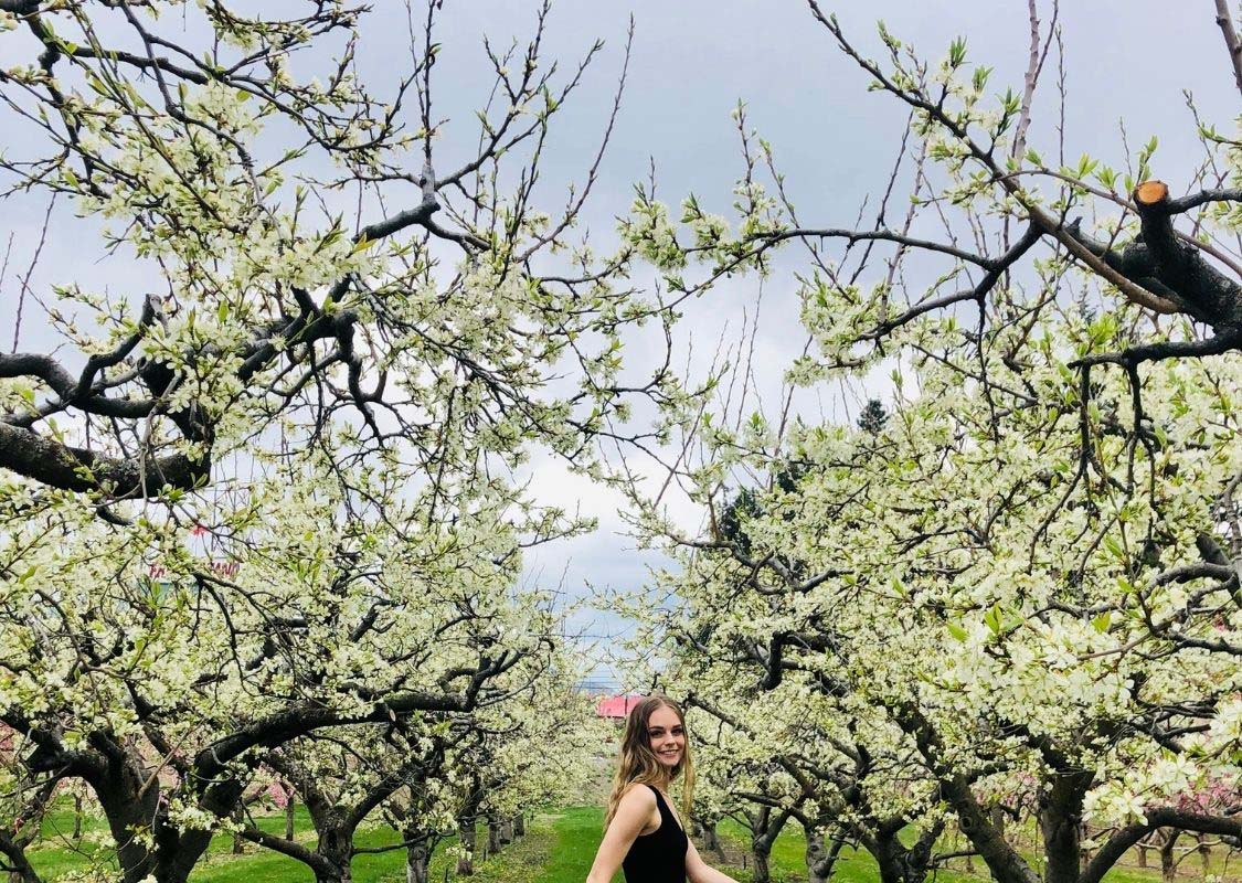 spring blossoms west kelowna