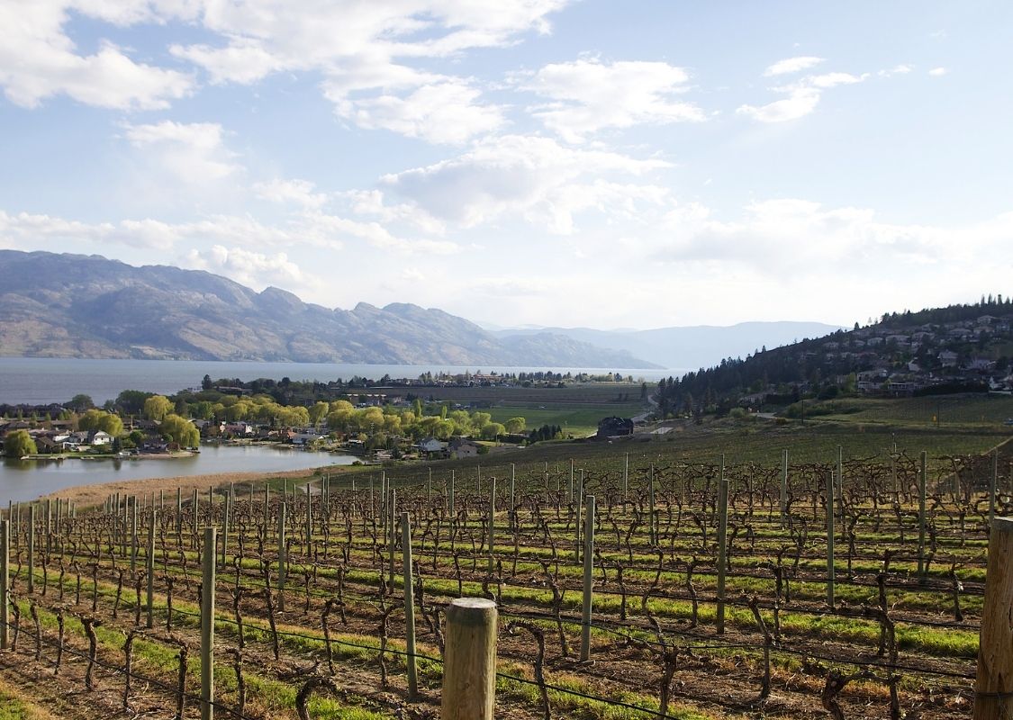 wineries west kelowna