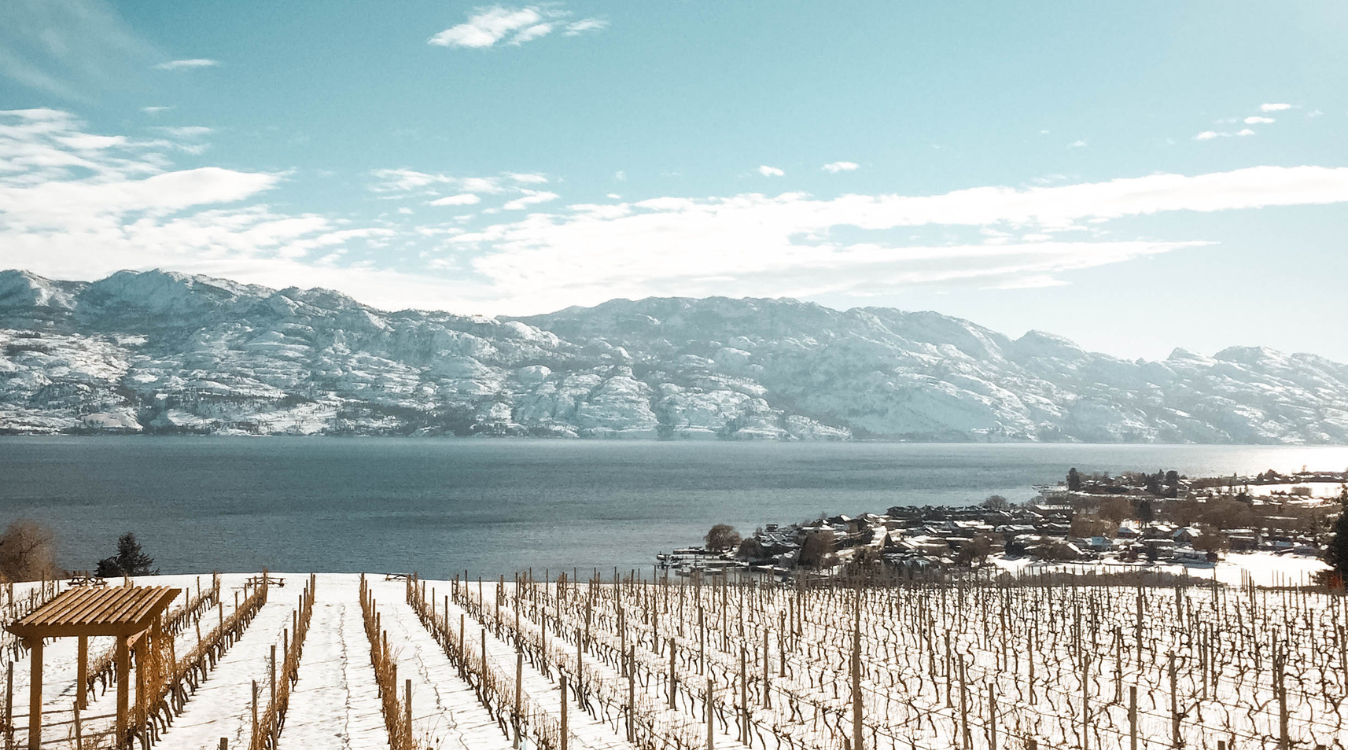 Visit Westside Official Tourism Site For West Kelowna visit-westside-official-tourism-site-for-west-kelowna