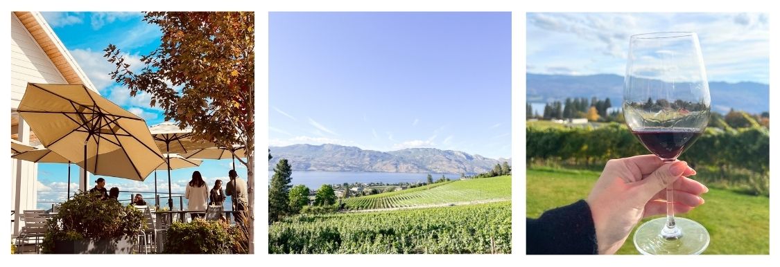 West Kelowna Wineries