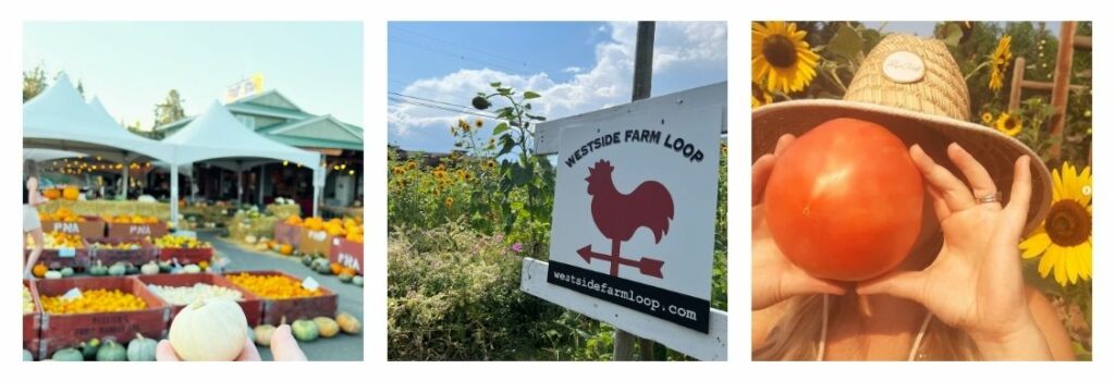 Get Your Farm On: Experience the Westside Farm Loop