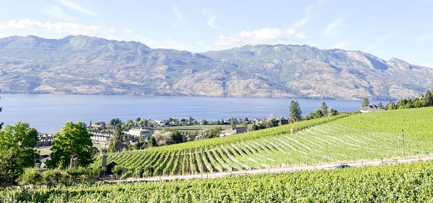 CCMAs Westside Wine Trail